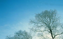 ddos压力测试网页端